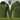Owton Manor Social Club Poly Jonas Hoody