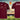 Seaton Carew Cricket Club Combi Playing Shirt - UNDER 11s
