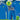 St Francis Mansel/Marvin Players Training Bundle  - ADULTS